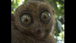 нихера себе, я не в курсе ребят