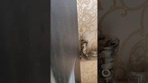 Колонки kenwood SF 701 четырех - полосные