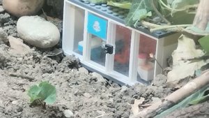 Воры и полиция