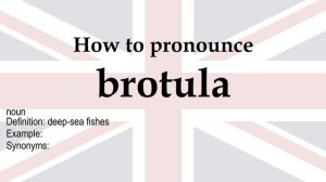 brotula