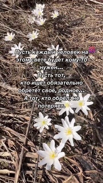 #цитатысосмыслом #цитатадня #красивыецитаты #красивыеслова #душевныецитаты #душевныеслова #цитаты