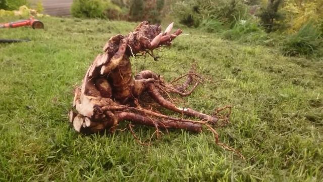 7 октября 2017 г. смотреть онлайн