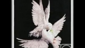 Тохир Махкамов. Бир Адашдим.