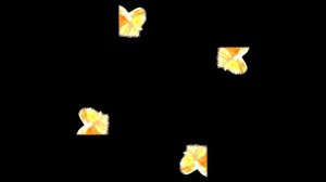 Live fish are floating in the air!А 3D hologram of the future on a smartphone #hologram #голограмма