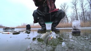 МОРМЫШКУ ОПУСТИЛ - СРАЗУ НАЛОВИЛ! ВОТ ЭТО РЫБАЛКА! НА ГРАНИ! ОСТАВИЛ ЖЕРЛИЦЫ, А УТРОМ ОФИГЕЛ