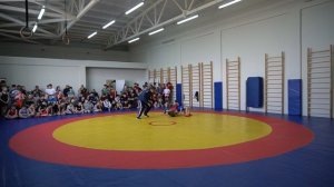 Греко-римская борьба, открытое Первенство Новокубанского района.