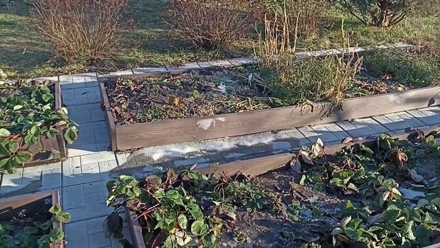 Обзор дачного участка зимой)