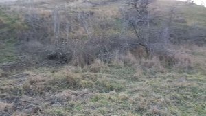 Феодосия. пгт. Курортное ул. Объездная 48