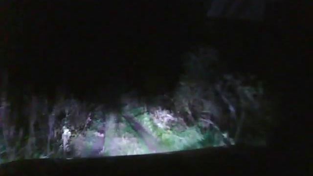 Танковый ксенон в лесу ночью видео с регистратора. смотреть онлайн