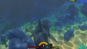 РИФ! ФИШ ФИТЕН ГРОУ ФИШ!