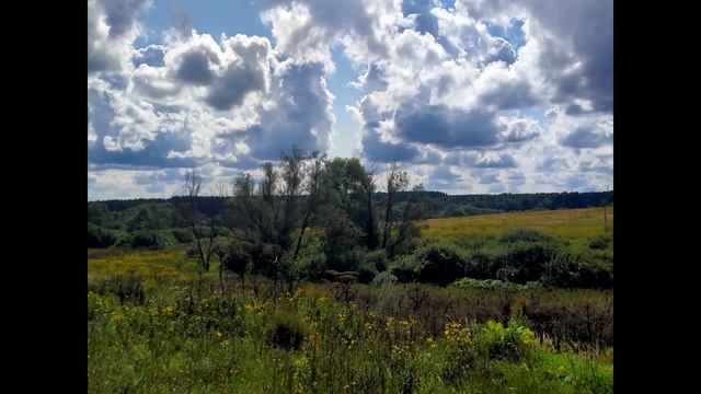 "Кредо". Автор и исполнитель Илья Лазарев. 🎼🎸🎹