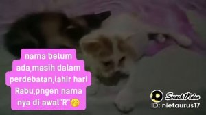 Baby Empuz belum deal nama nya masih dalam perdebatan,lahir hari Rabu,pngen nama yang berawalan "R"