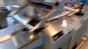 Горизонтальный упаковочный станок  ALD-600DW. Упаковка сырков во флоупак с гассетом.