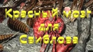 ОП 2.2 Необычный контролёр. Красный мозг для Свиблова. #оп21 #оп22 #сталкер