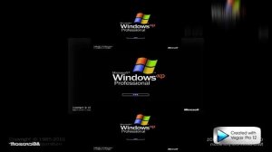 YTPMV Windows XP Professional Scan