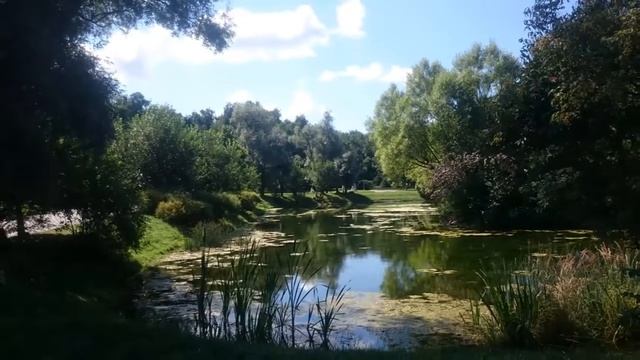 Прогулка вокруг большого пруда ГБС. смотреть онлайн