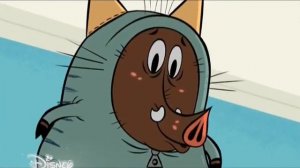 Зип Зип 45  Гордость перед падением