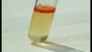 Отношение бензола к йодной и бромной воде