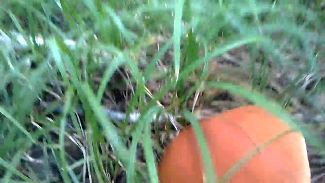 Батя Подосиновик смотреть онлайн