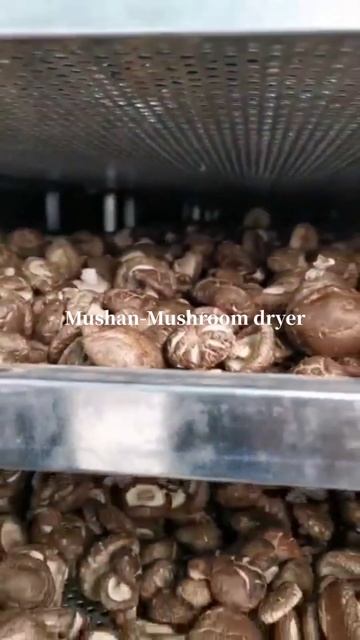 Mushroom dryer смотреть онлайн