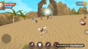 Выпал мистик на гепарда в Wild Craft