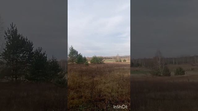 Последний🌲🌳🌴поход за грибами 🍄. смотреть онлайн