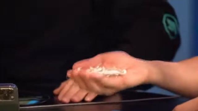 Майк Тайсон СЪЕЛ ГАЛЛЮЦИНОГЕННЫЕ ГРИБЫ во время подкаста