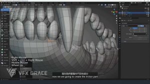 24 Oral Structure Creation 03