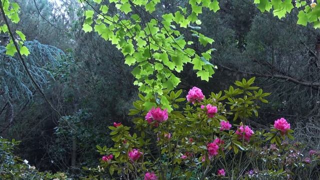 Ученику много печальные - многие знания...