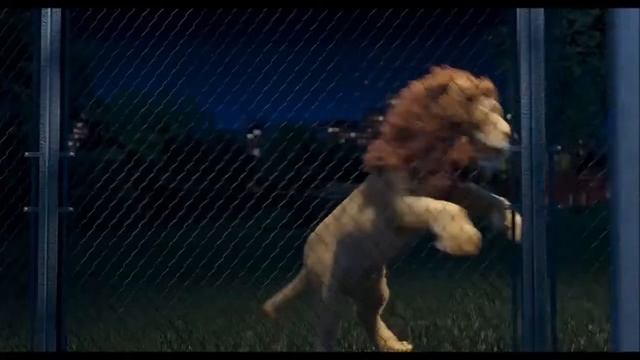 Samson And Ryan When You Look Me In The Eyes смотреть онлайн