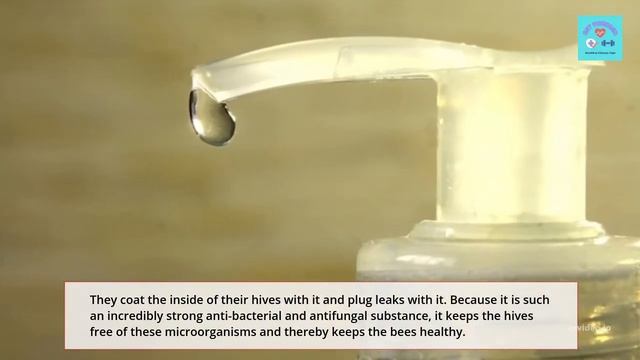 Nail Fungus Finally Destroyed