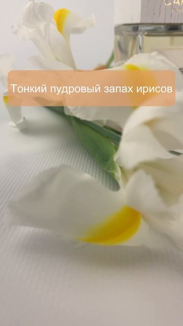 Чистый и свежий, но стойкий нишевой аромат 🍊