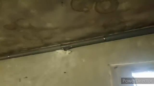 12 февраля 2020 г. смотреть онлайн