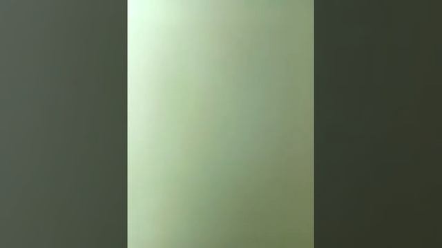 ПАРОДИЯ НА ПЕСНЮ :ГРИБЫ: ,,ТАЕТ ЛЁД " ПЕСНЯ ,,ТАЕТ КОРМ" смотреть онлайн