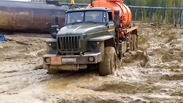 Арчинское 10 куст