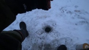 ёрш, окунь, плотва и судачок на самодельную блесну