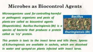 Applications of Microbes | Uses in Agriculture, Industries, Medicine | Biology | The Glowing Light