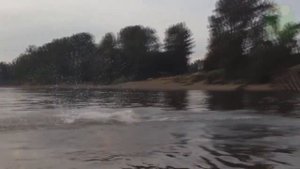 рыбы Байкала