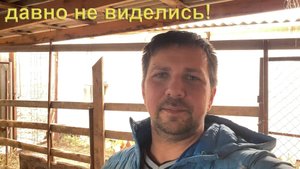 Давно не виделись!
