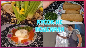 Воскресенье. Посеяла ягоды и цветы. Сюрприз от Леопардины. Объедаюсь я на этих Ккалах! Мукбанг.