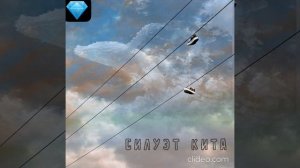 Нина Смит. Силуэт Кита.