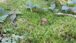 Тихая охота 2