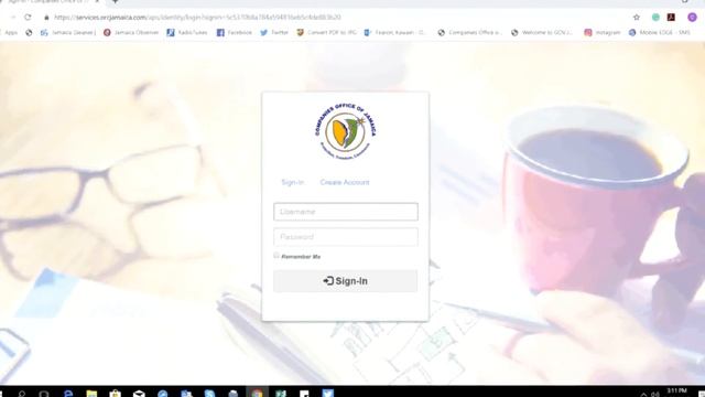 The Electronic Business Registration Form (eBRF) смотреть онлайн