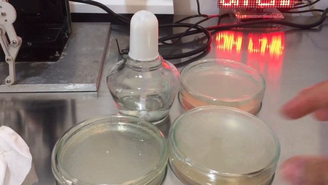 MEMBUAT MEDIA PDA PAKAI ANTIBIOTIK UNTUK ISOLAT TRICHODERMA смотреть онлайн