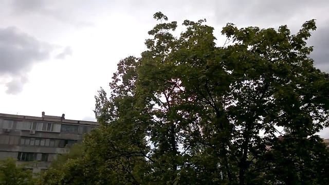 Вот он какой - дождь грибной