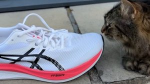 Asics Magic Speed 3 vs Puma Deviate Nitro 2: Which super-trainer should you get?