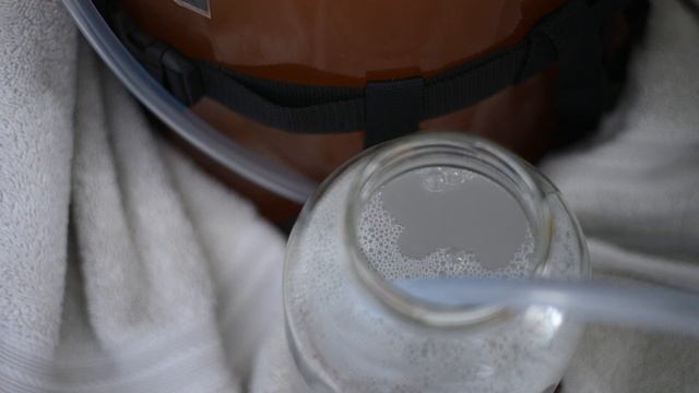 Mannekin Pis bubbling away смотреть онлайн