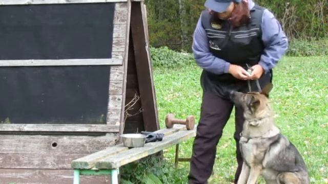 Послушание урок 20. смотреть онлайн