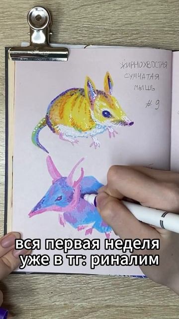 кроличий бандикут #акриловыемаркеры #риналим #сумчатые