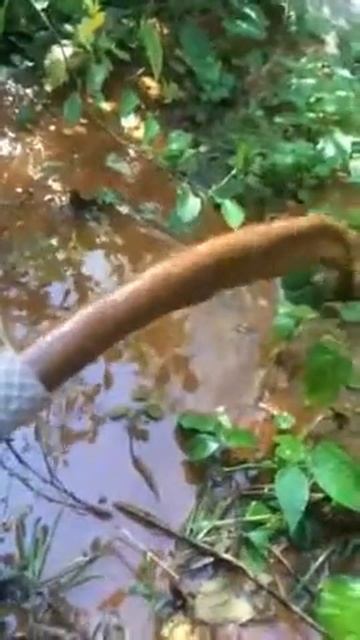 Бурение, очистка и ремонт скважин скважин Сергиево-Посадский район смотреть онлайн